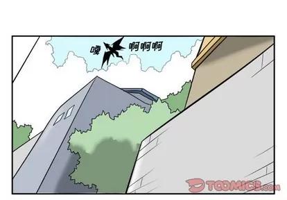 马基什的疯狂邻居 惊奇百怪来惹吧 | 第7章 第1页