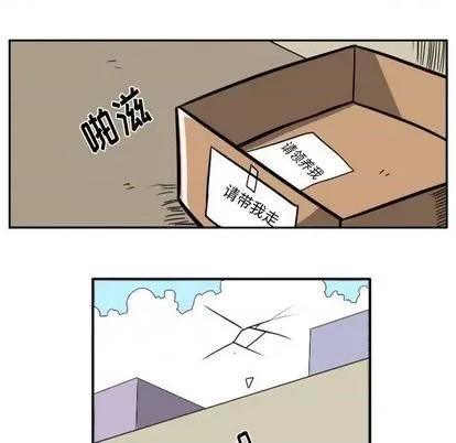 马基什的疯狂邻居 惊奇百怪来惹吧 | 第27章 第19页