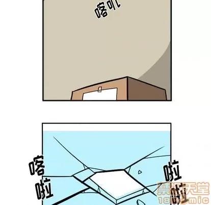 马基什的疯狂邻居 惊奇百怪来惹吧 | 第27章 第20页