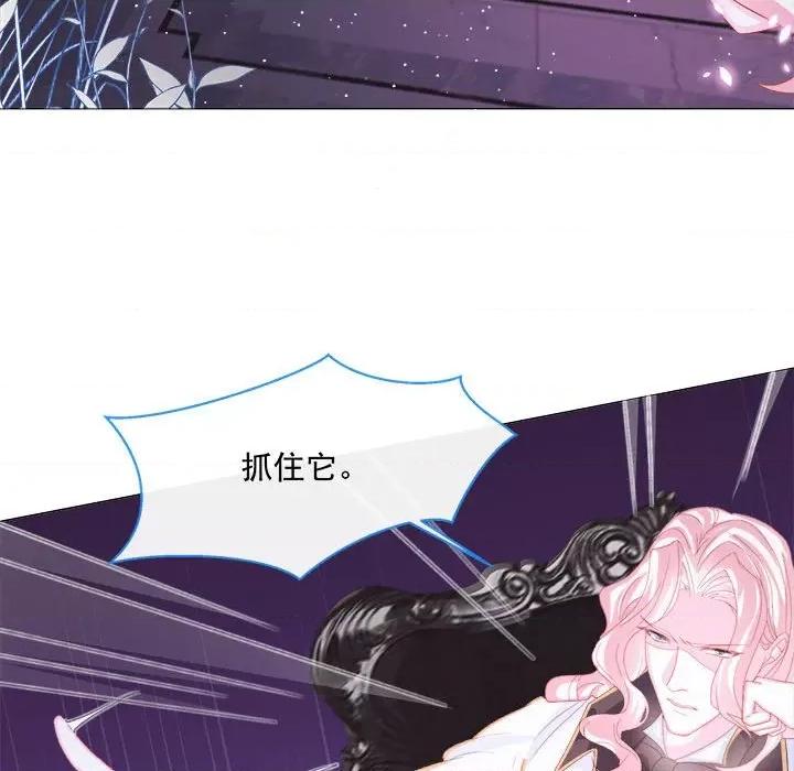 亲爱的妮妮塔 亲爱的妮妮塔-第 5 话 第27页