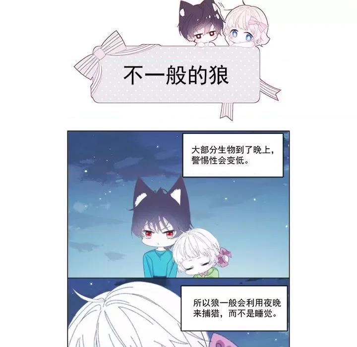 亲爱的妮妮塔 亲爱的妮妮塔-第 10 话 第67页