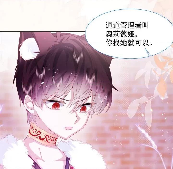 亲爱的妮妮塔 亲爱的妮妮塔-第 16 话 第17页