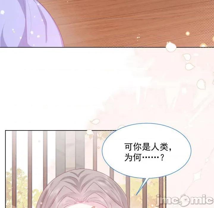 亲爱的妮妮塔 亲爱的妮妮塔-第 26 话 第50页