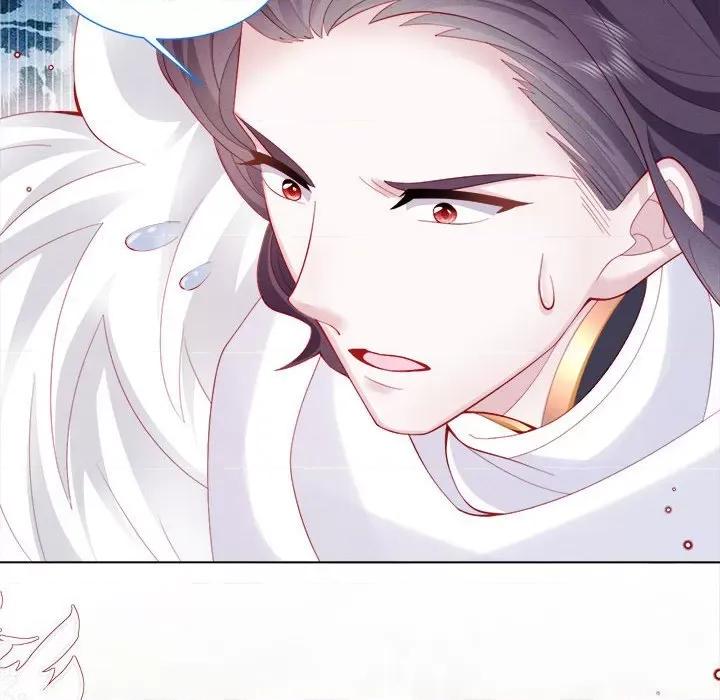 亲爱的妮妮塔 亲爱的妮妮塔-第 45 话 第73页