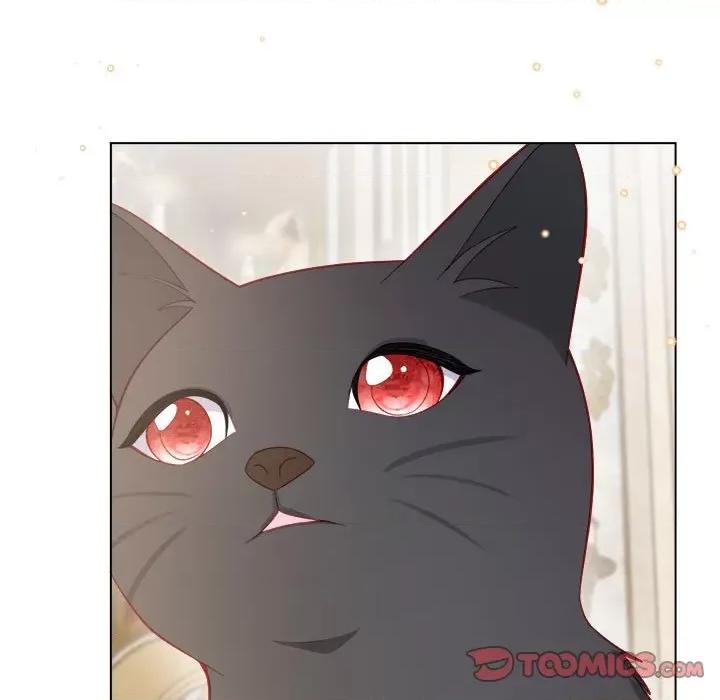 亲爱的妮妮塔 亲爱的妮妮塔第 52 话 第34页