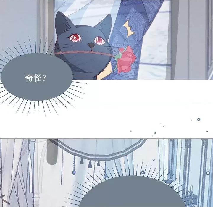 亲爱的妮妮塔 亲爱的妮妮塔第 52 话 第96页