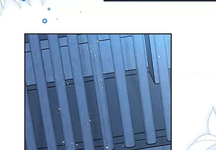 亲爱的妮妮塔 亲爱的妮妮塔-亲爱的妮妮塔 第76话 第4页