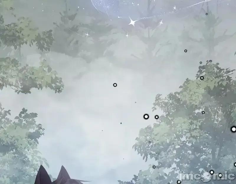 亲爱的妮妮塔 亲爱的妮妮塔 110 第84页