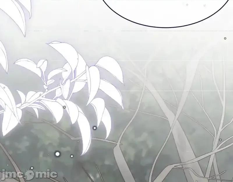 亲爱的妮妮塔 亲爱的妮妮塔 111 第36页