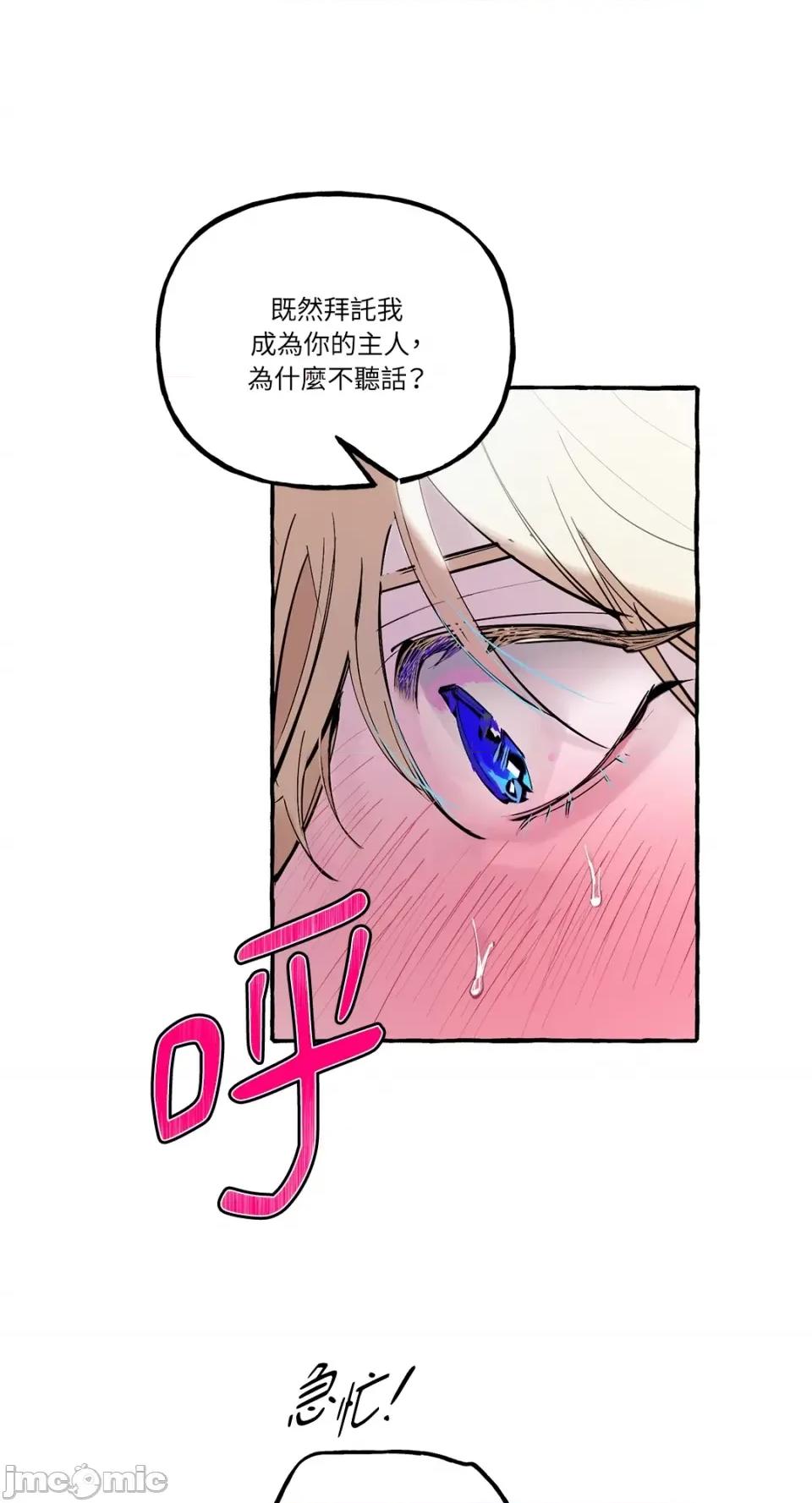 住在皇宫庭院裡的狗 住在皇宫庭院裡的狗-第19话 第40页