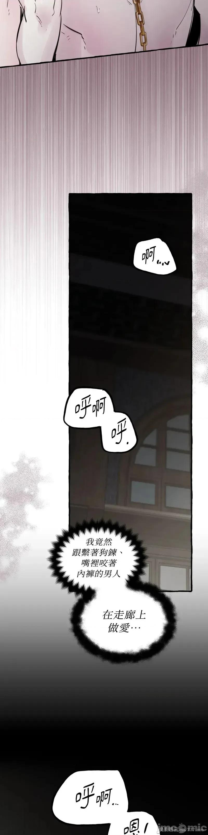住在皇宫庭院裡的狗 56话——嗨皮漫画 第14页