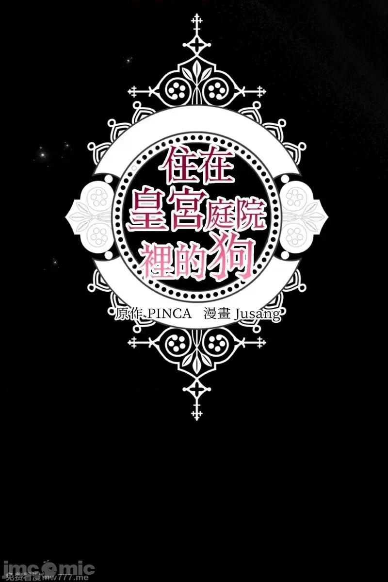 住在皇宫庭院裡的狗 58话——嗨皮漫画 第35页