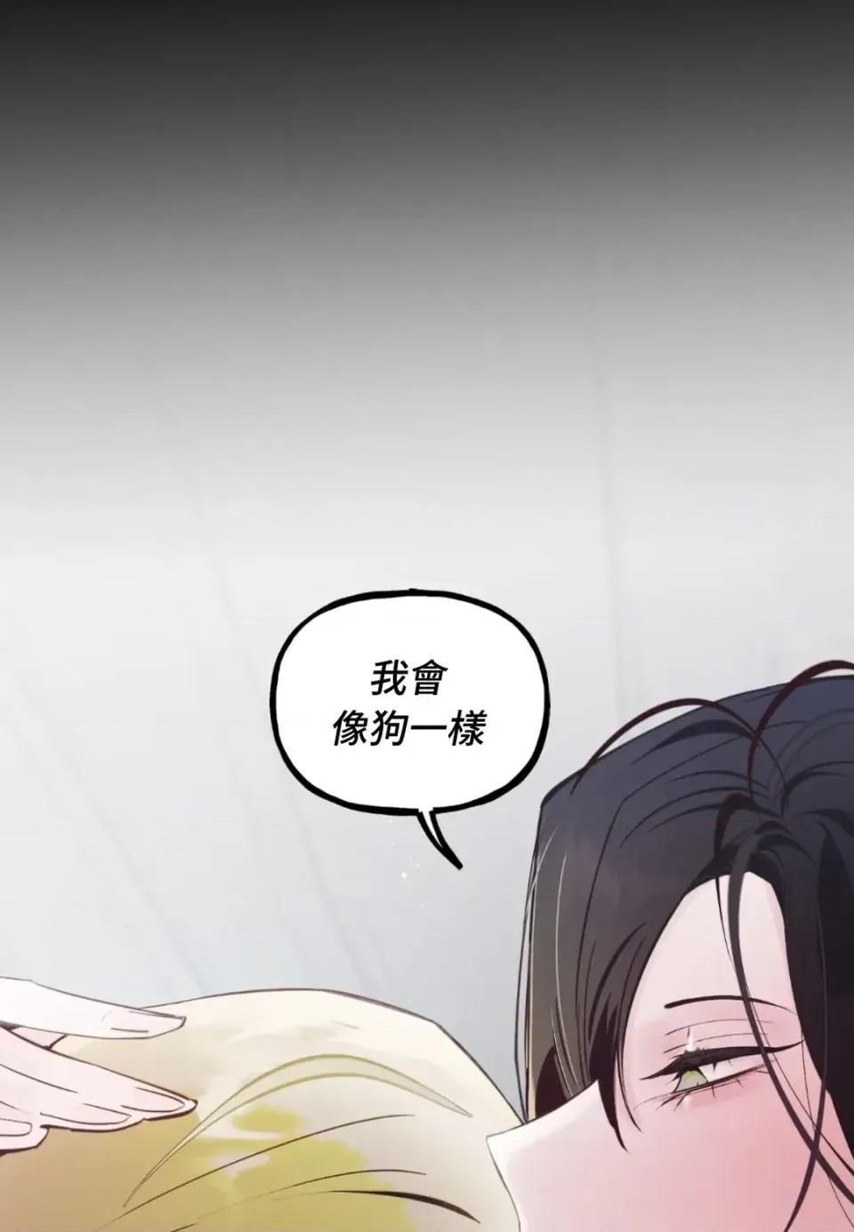 住在皇宫庭院裡的狗 住在皇宫庭院里的狗-第91话 第97页