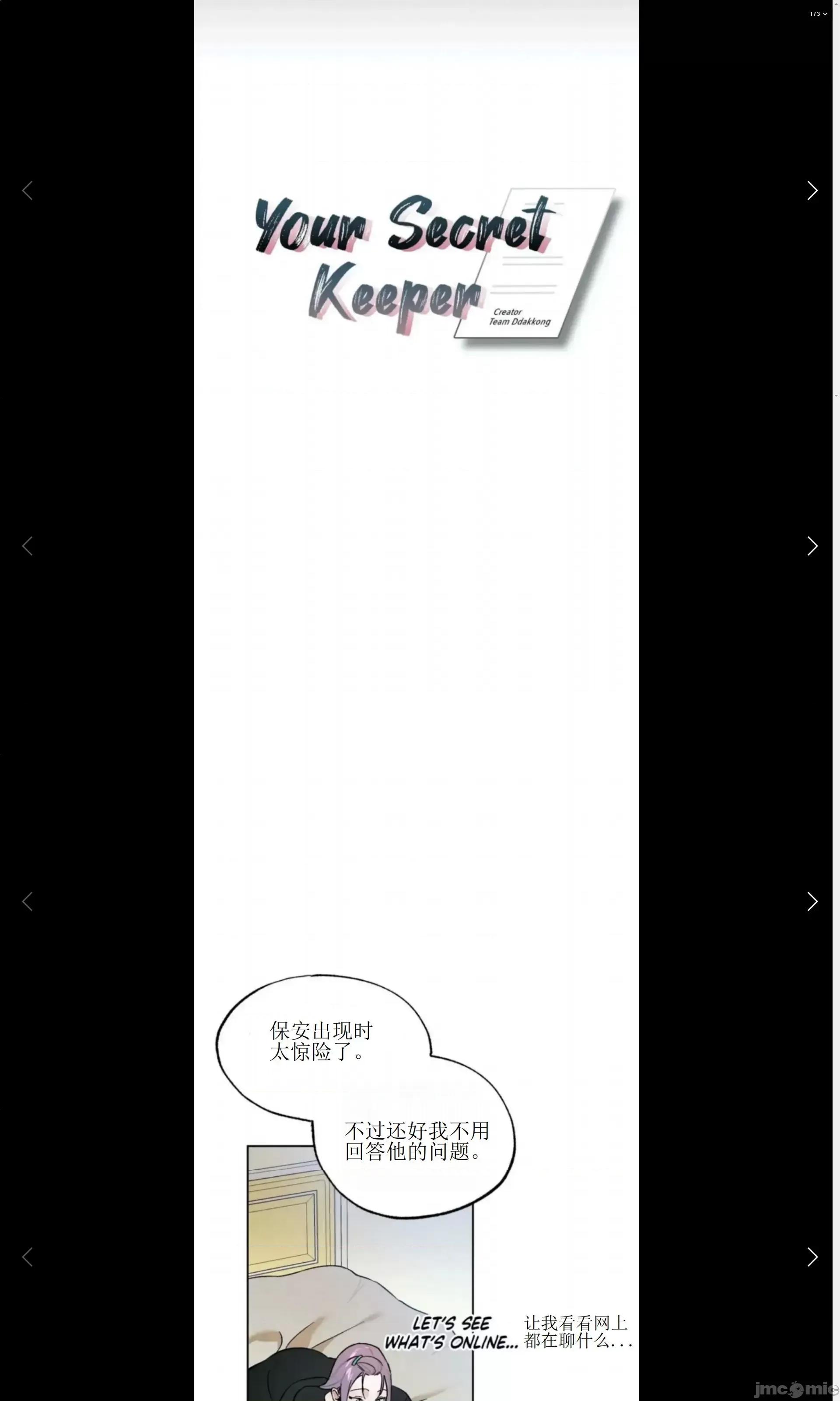 维持秘密的保安法 维持秘密的保安法 27 第12页