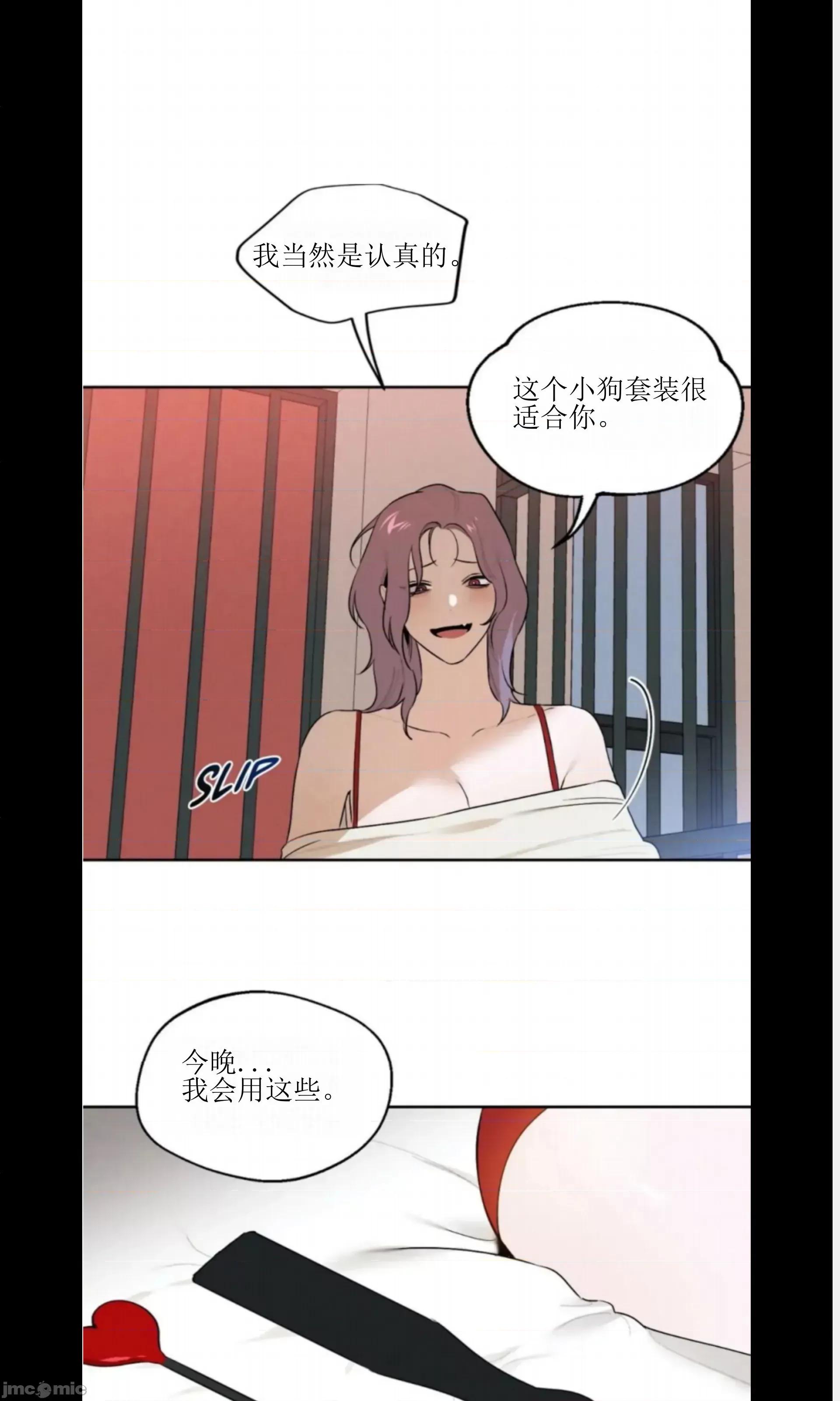维持秘密的保安法 维持秘密的保安法 28 第13页