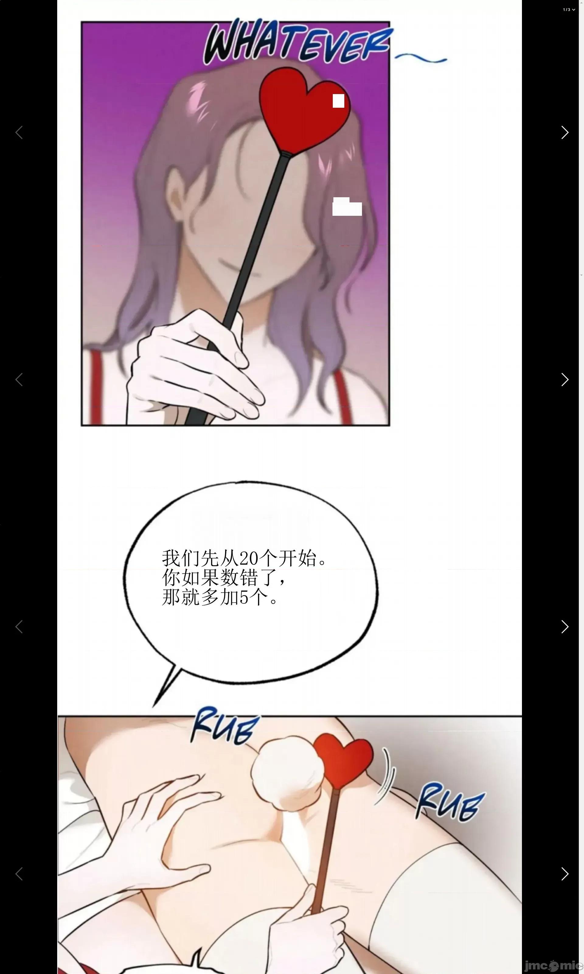 维持秘密的保安法 维持秘密的保安法 28 第19页