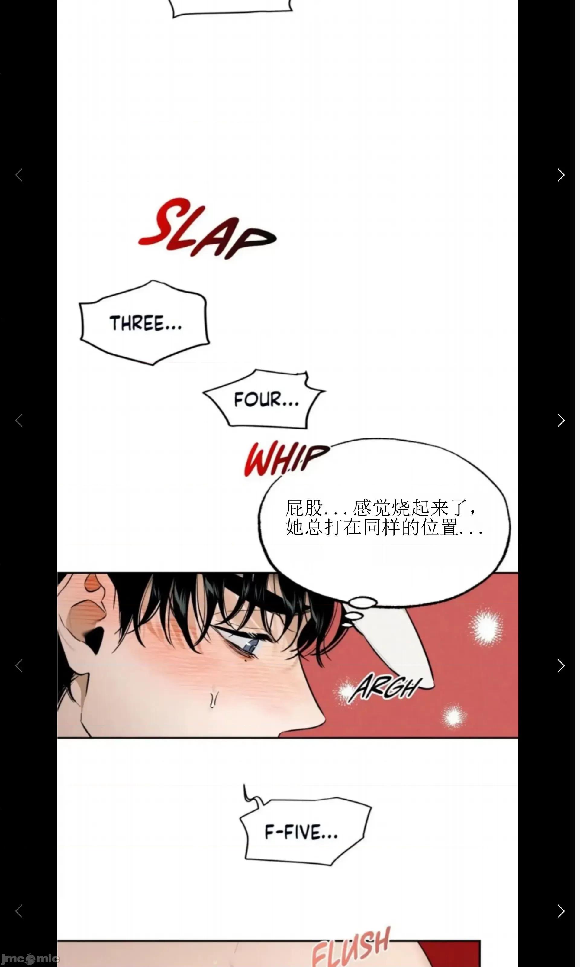 维持秘密的保安法 维持秘密的保安法 28 第22页