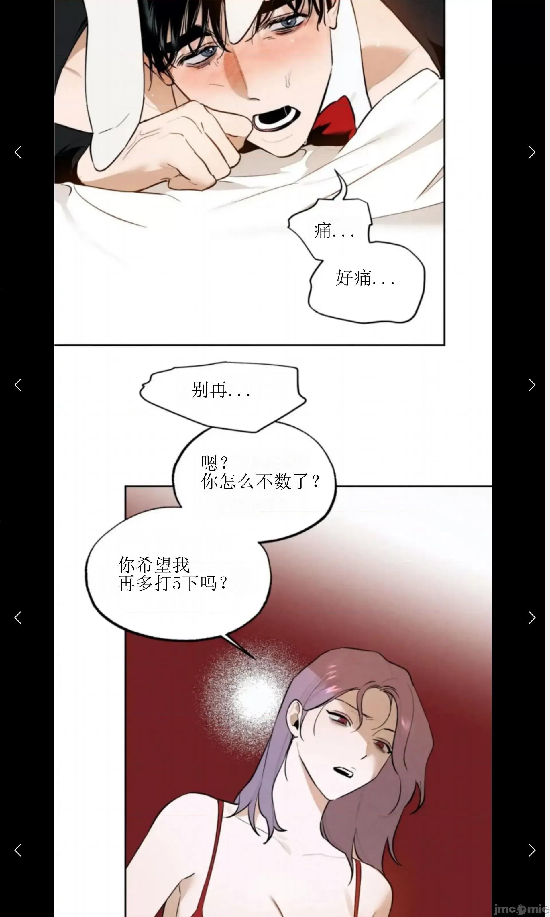 维持秘密的保安法 维持秘密的保安法 28 第28页