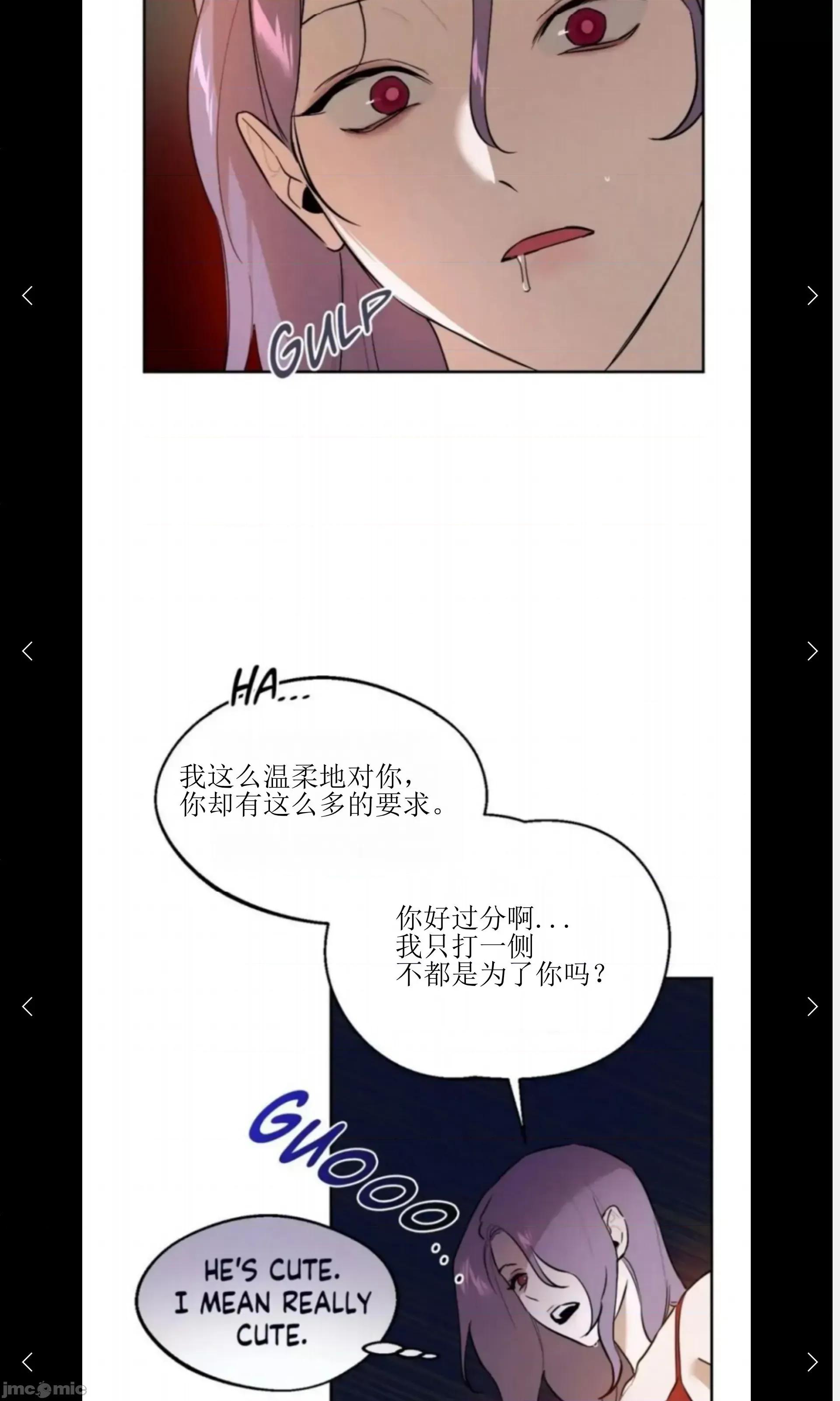 维持秘密的保安法 维持秘密的保安法 28 第31页