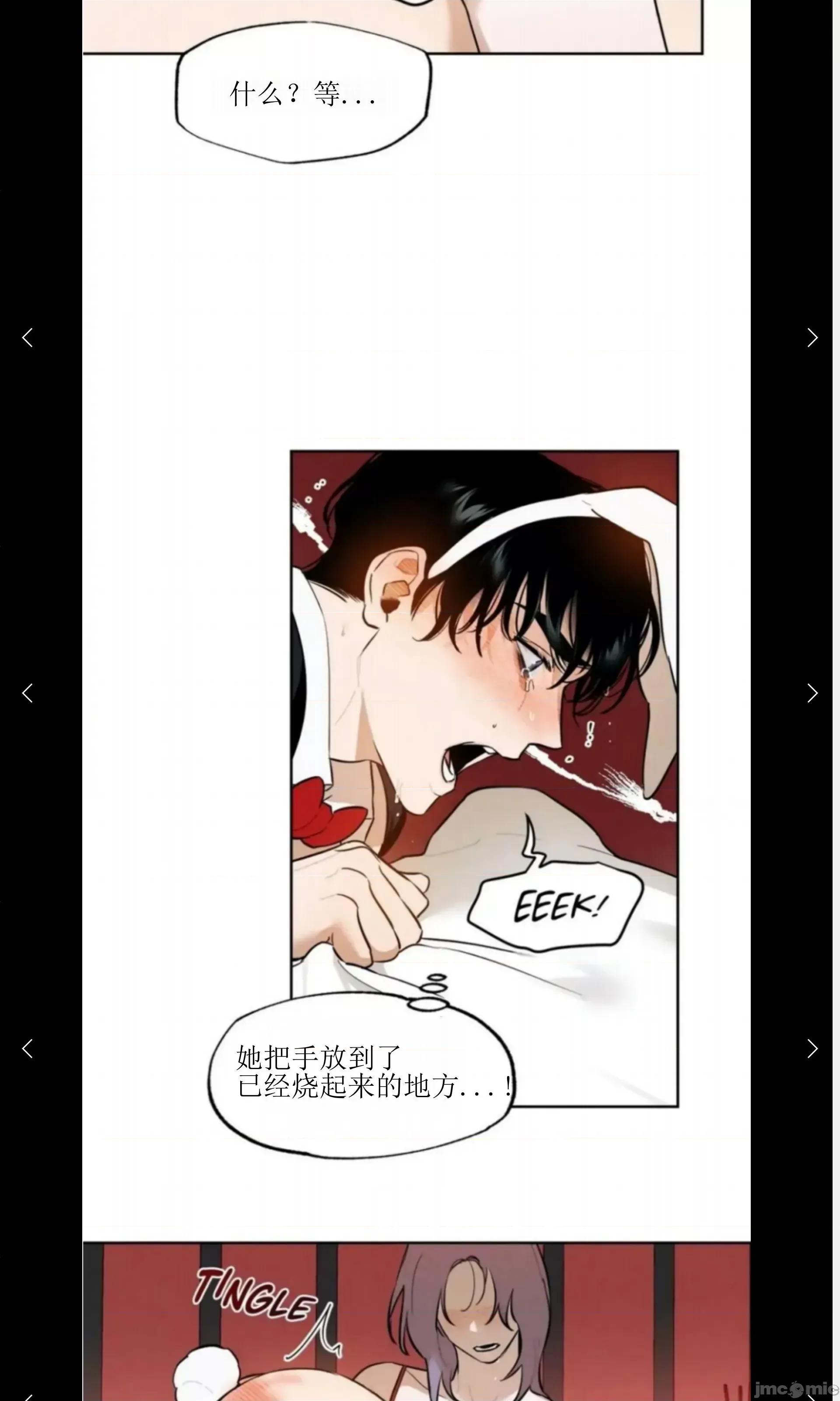维持秘密的保安法 维持秘密的保安法 28 第33页