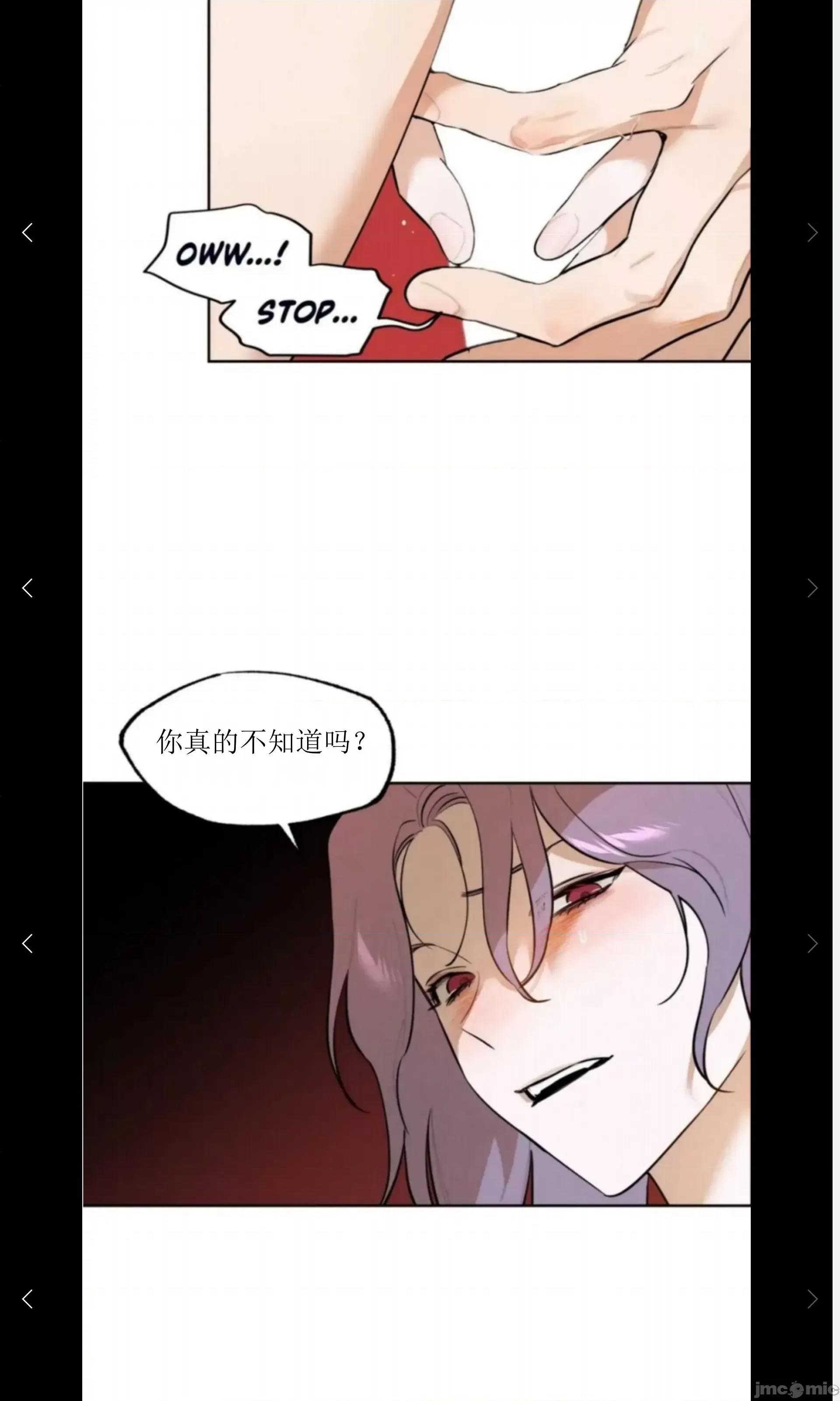维持秘密的保安法 维持秘密的保安法 28 第37页