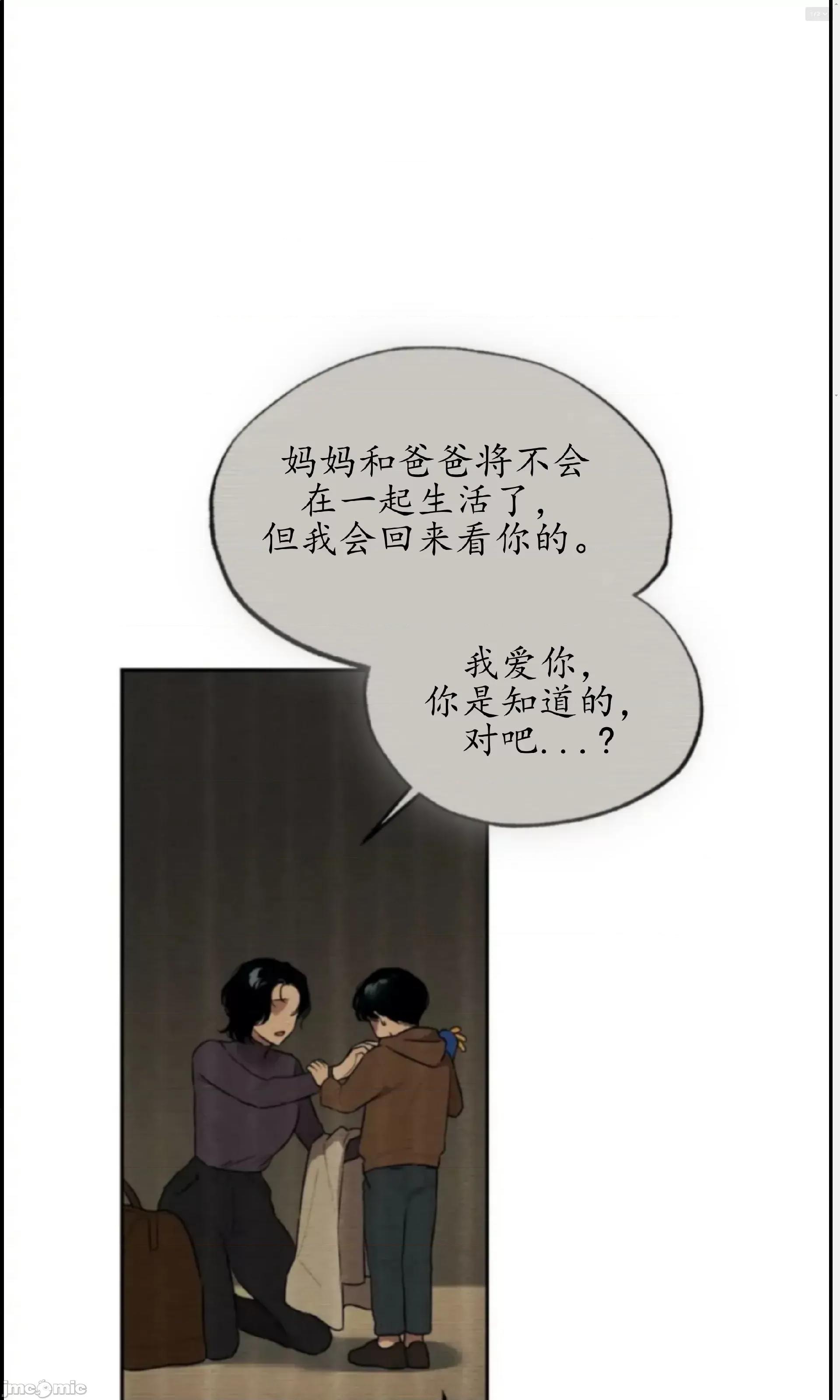 维持秘密的保安法 维持秘密的保安法 31 第29页