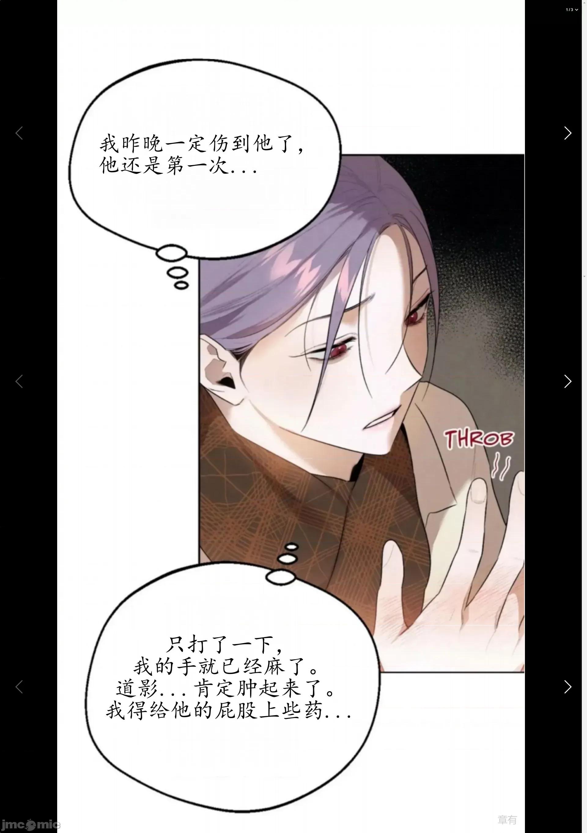维持秘密的保安法 维持秘密的保安法31 第13页