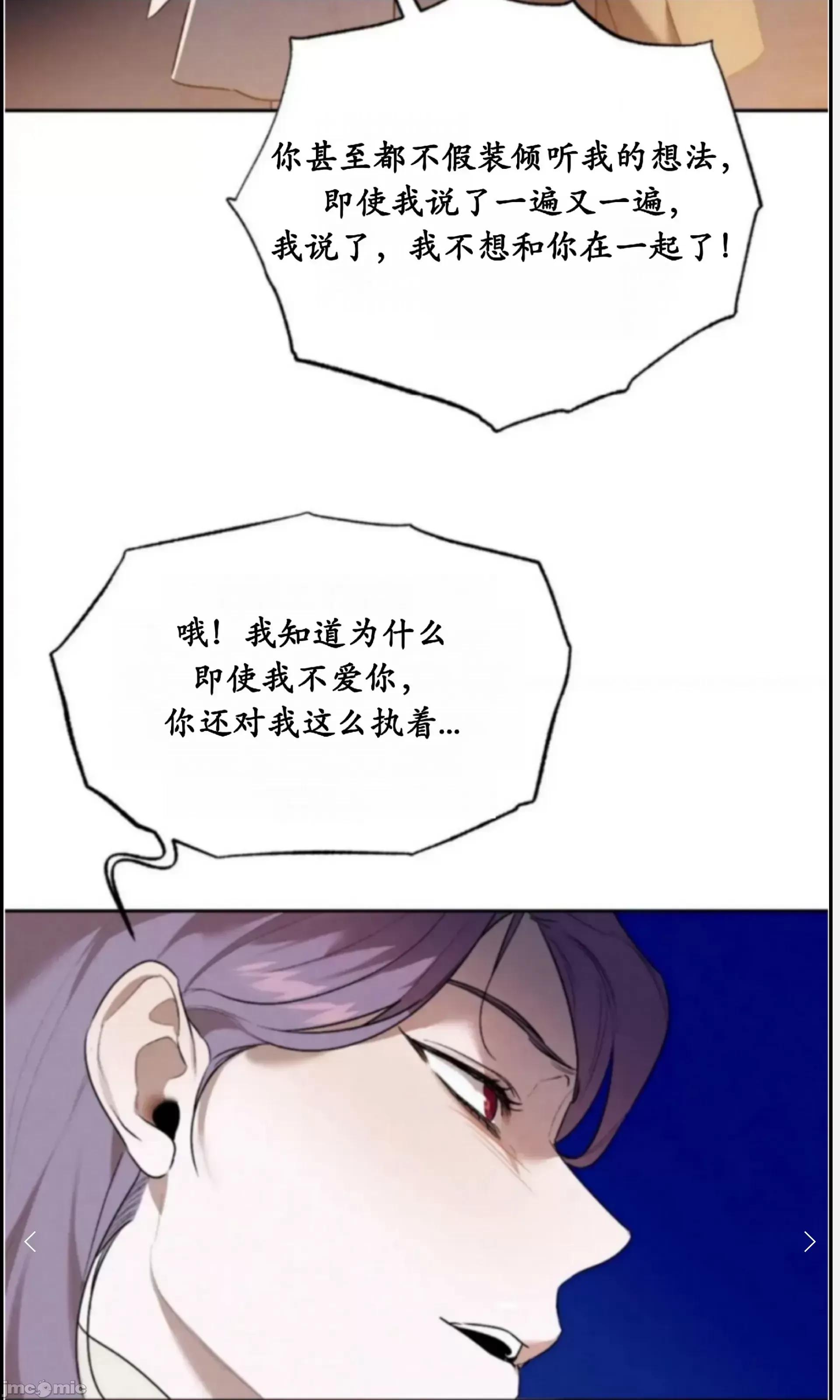 维持秘密的保安法 维持秘密的保安法 33 第21页