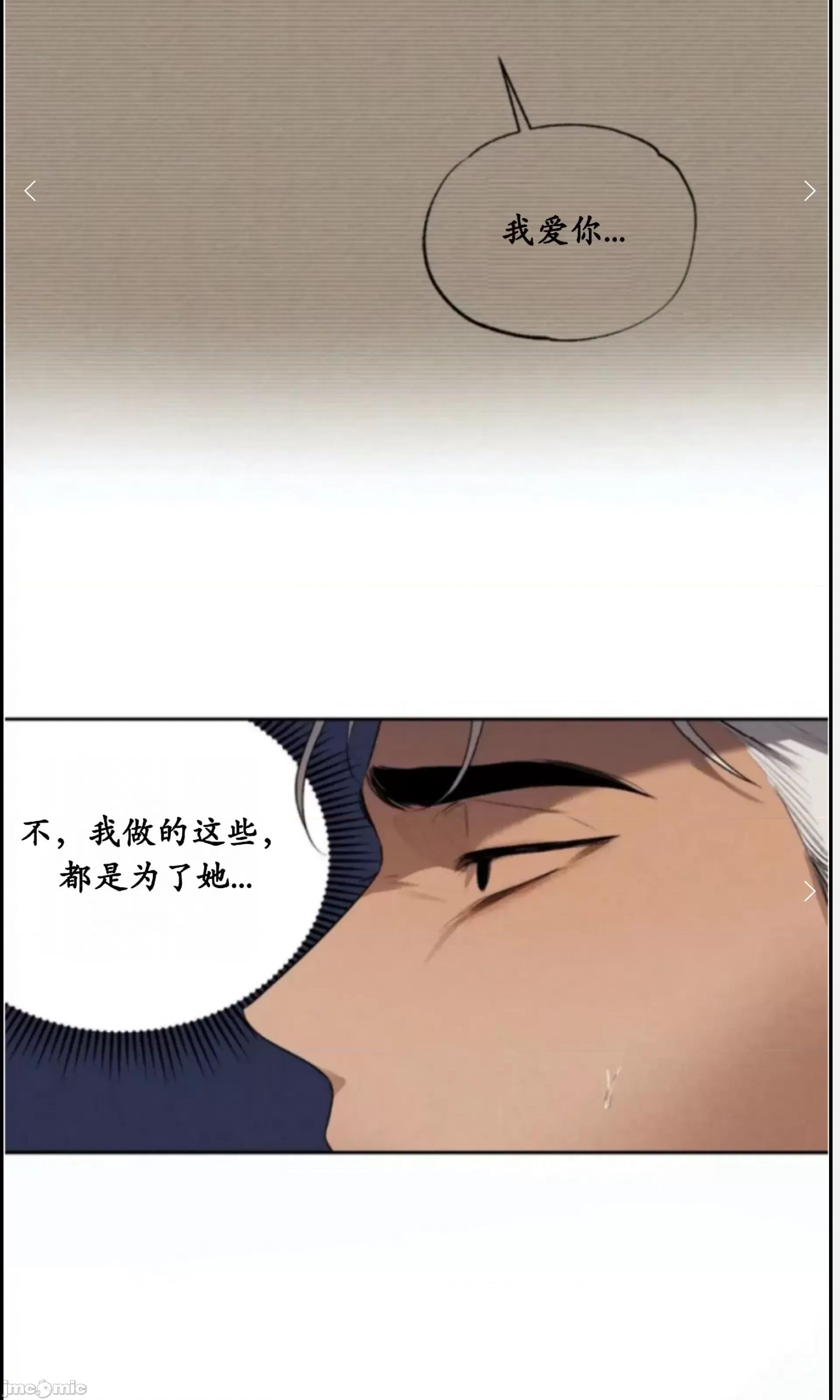 维持秘密的保安法 维持秘密的保安法 33 第30页