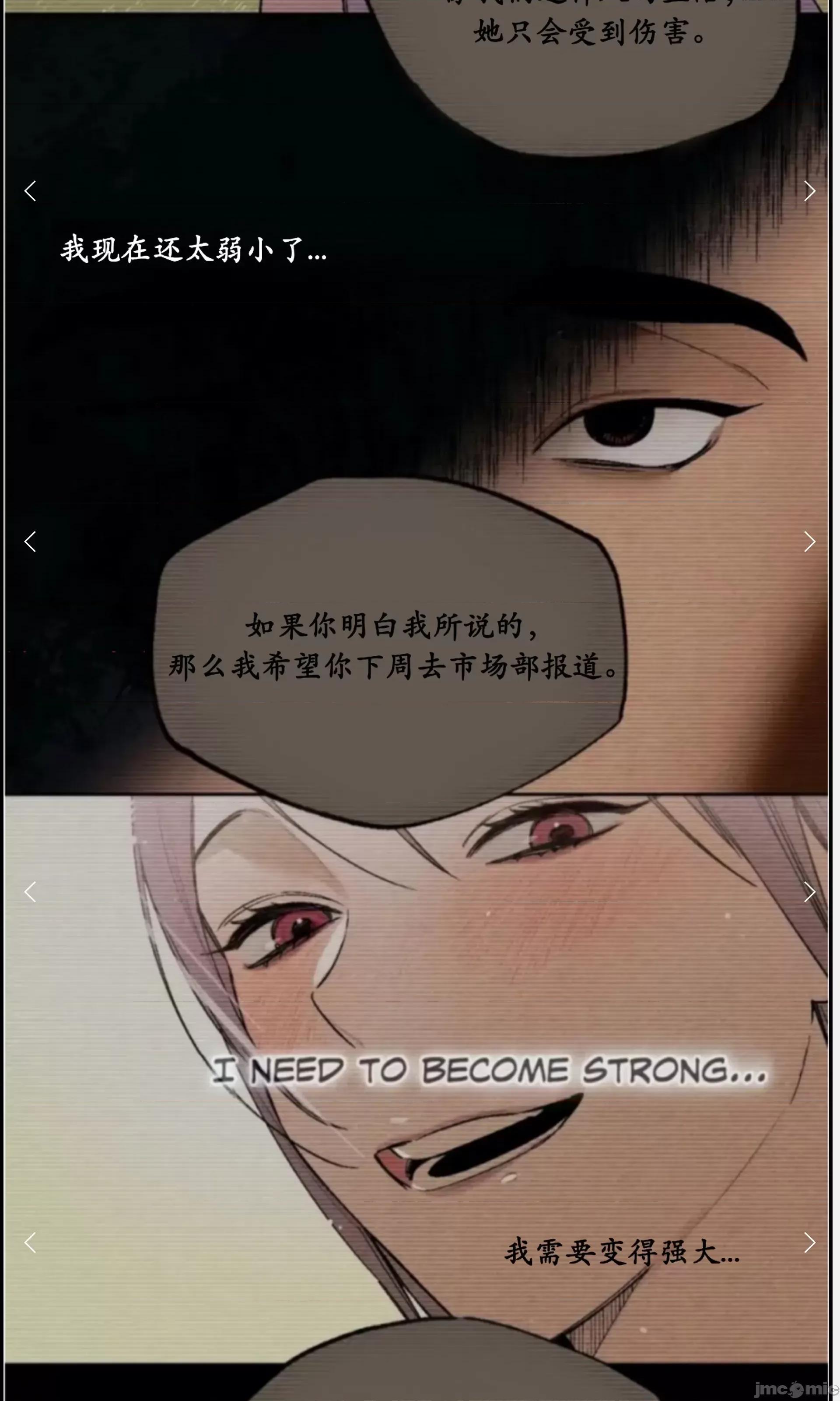 维持秘密的保安法 维持秘密的保安法 33 第38页
