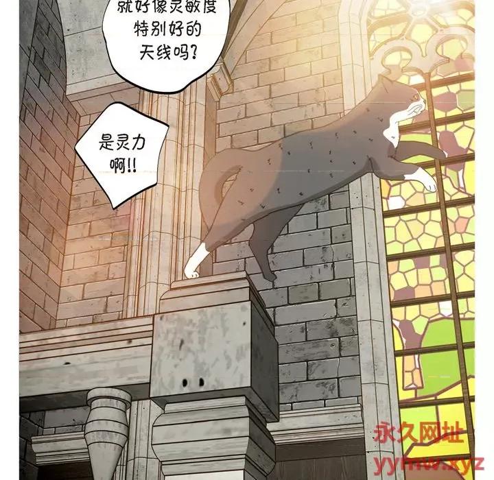 生存婚姻 生存婚姻-第 43 话 第117页