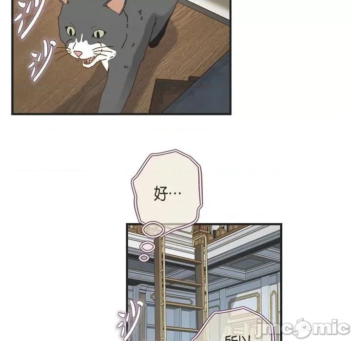 生存婚姻 生存婚姻-第 65 话 第85页