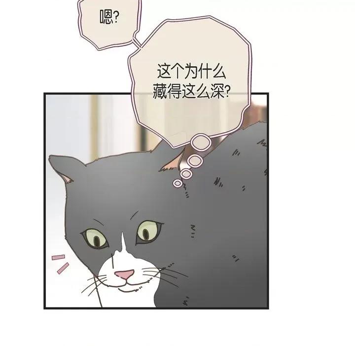 生存婚姻 生存婚姻-第 65 话 第102页
