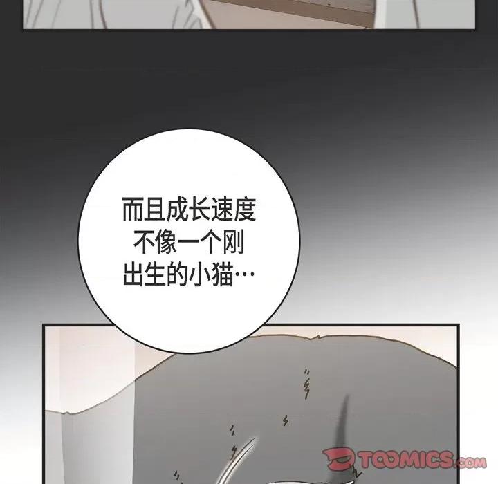 生存婚姻 生存婚姻-第 72 话 第66页