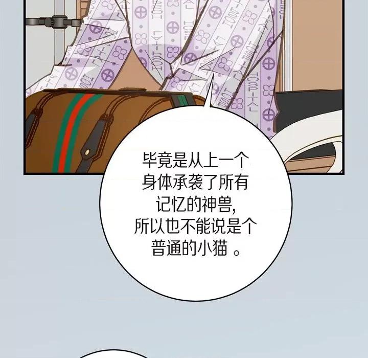 生存婚姻 生存婚姻-第 72 话 第81页