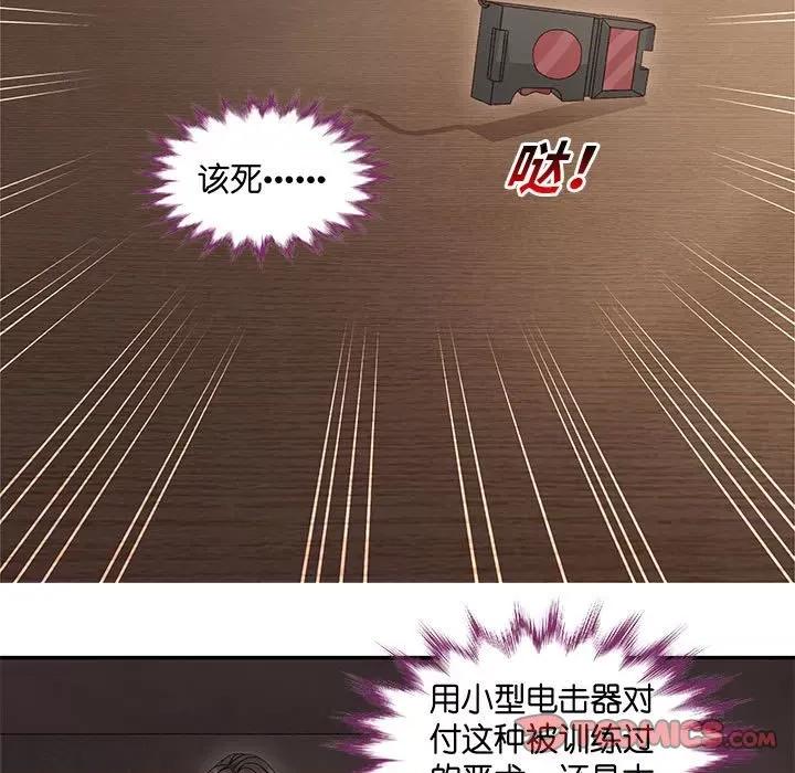 昙华影梦 昙华影梦第 113 话 第13页