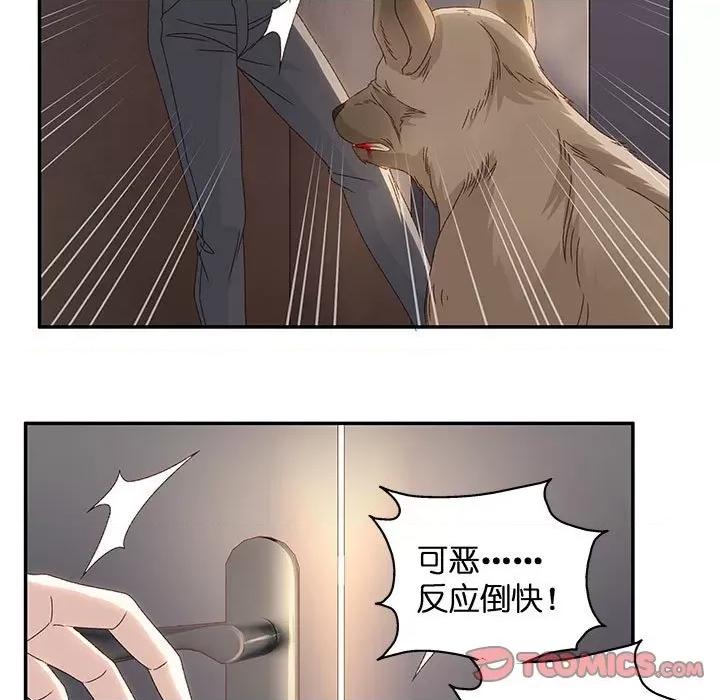 昙华影梦 昙华影梦第 113 话 第19页