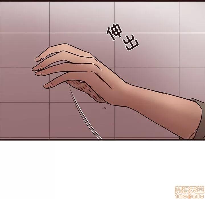 笨蛋哥哥 笨蛋哥哥 11-15 第440页