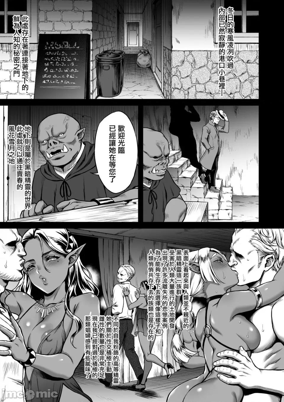 总集篇 [H.B.A (うさぎなごむ)] 悠久の娼エルフ 总集篇 第31页