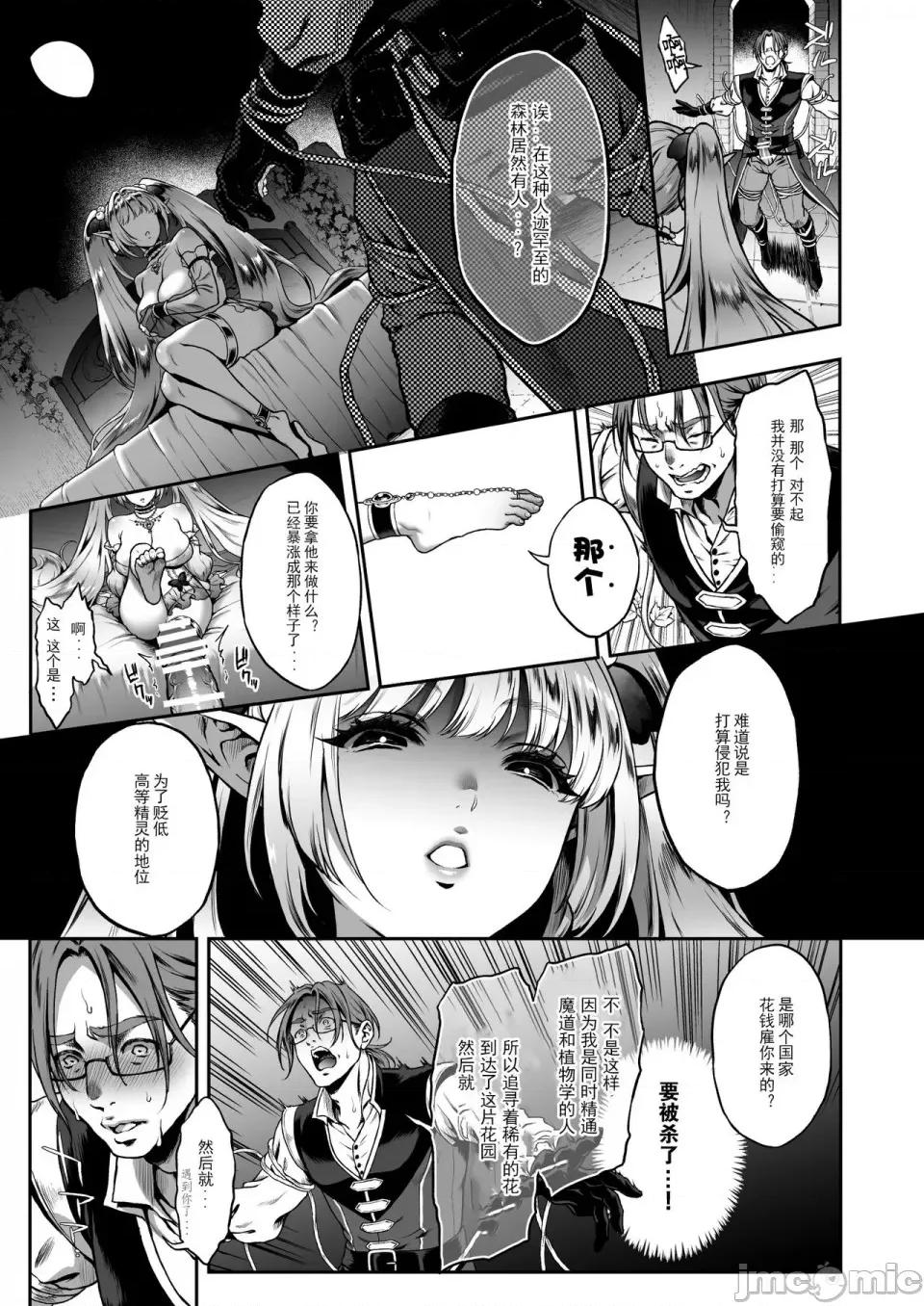 总集篇 [H.B.A (うさぎなごむ)] 悠久の娼エルフ 总集篇 第64页
