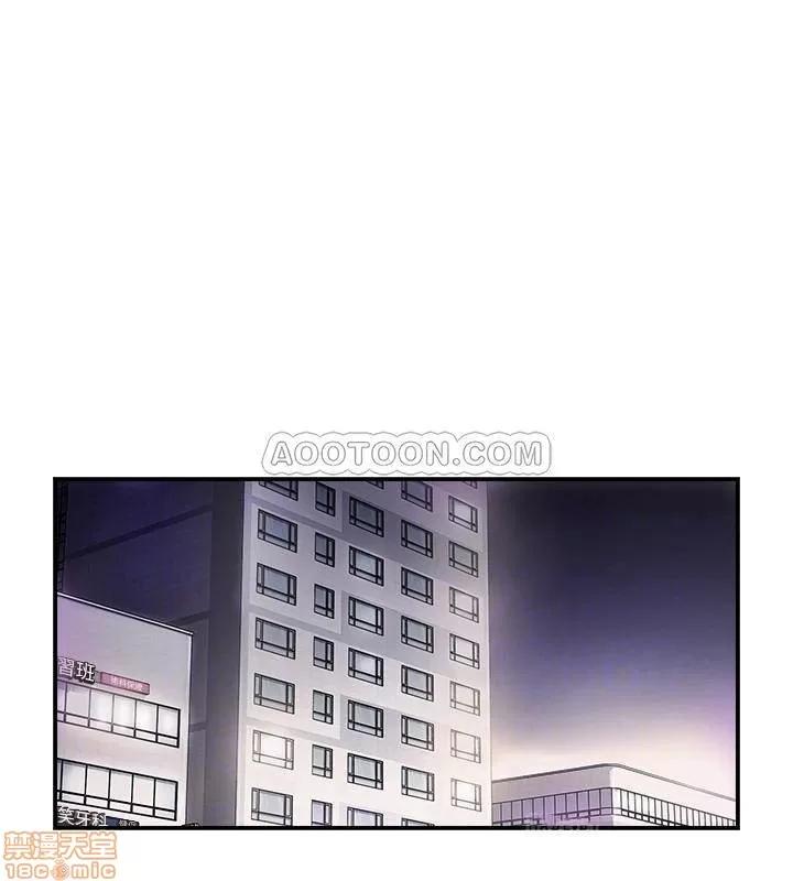 完美新伴侣 完美新伴侣 8 第16页