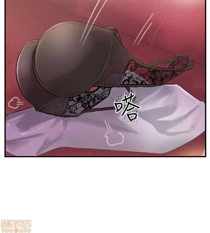 完美新伴侣 完美新伴侣 15 第19页