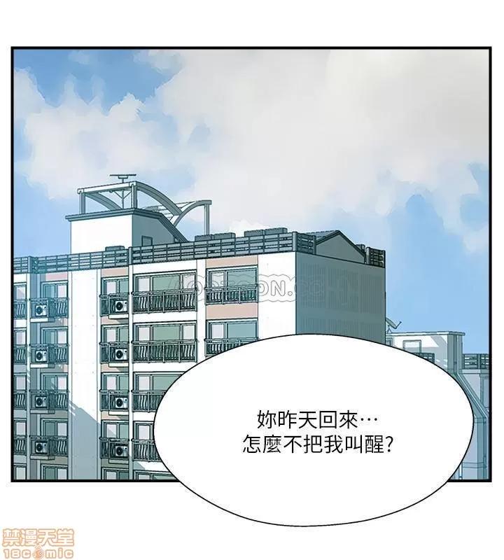 完美新伴侣 完美新伴侣 17 第19页