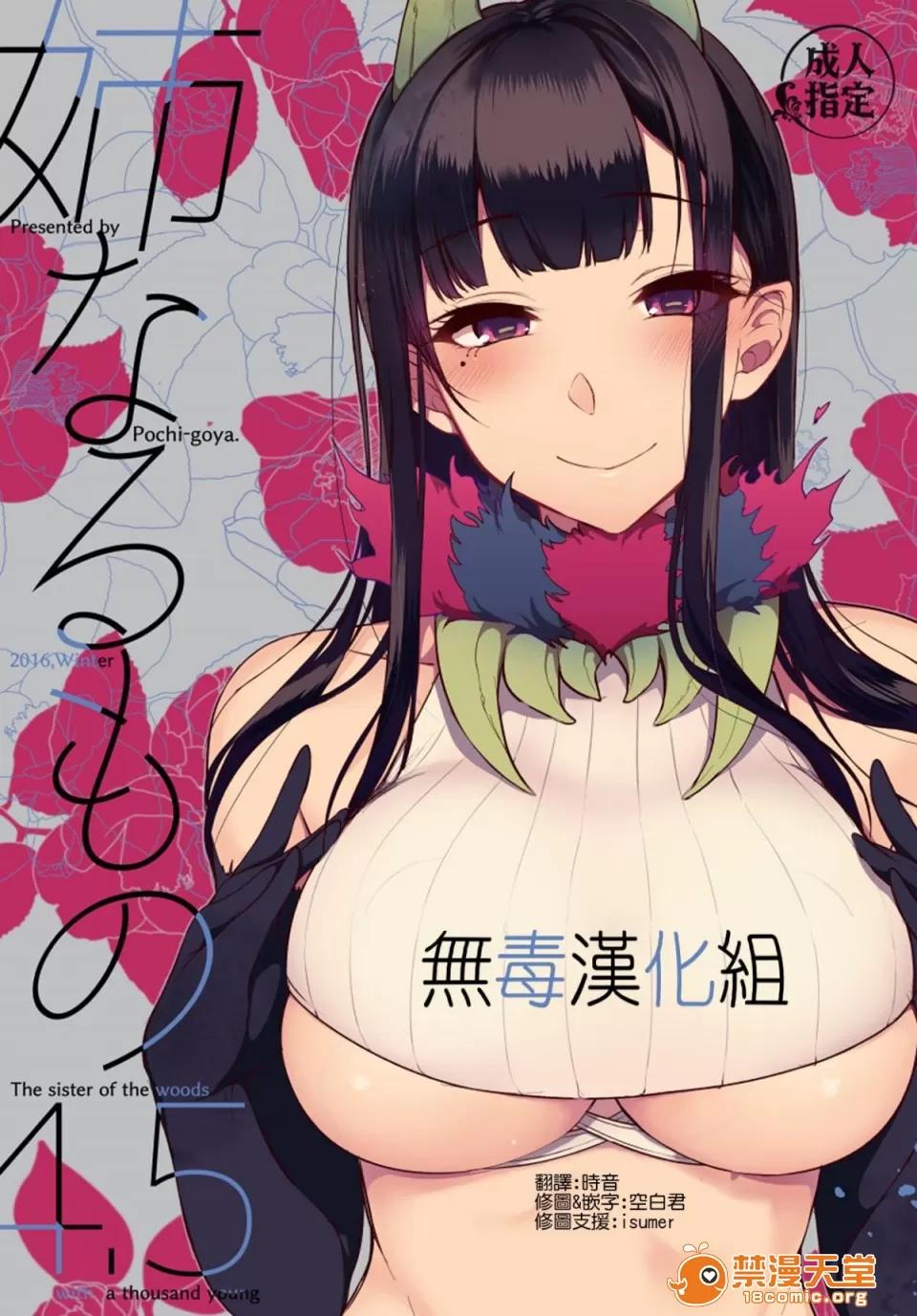 成为姊姊之物 (C91) [ぽち小屋。 (ぽち。)] 姉なるもの 4.5 (姉なるもの) [无毒汉化组] 第1页