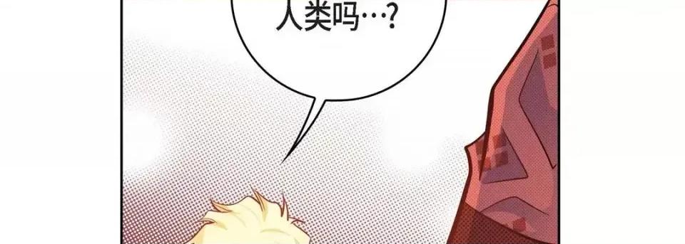 献给心脏 献给心脏-第 31 话 第154页