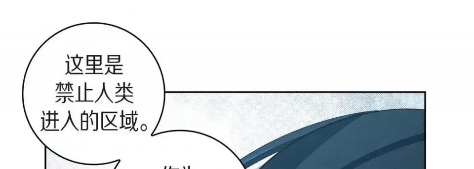 献给心脏 献给心脏-第 44 话 第33页