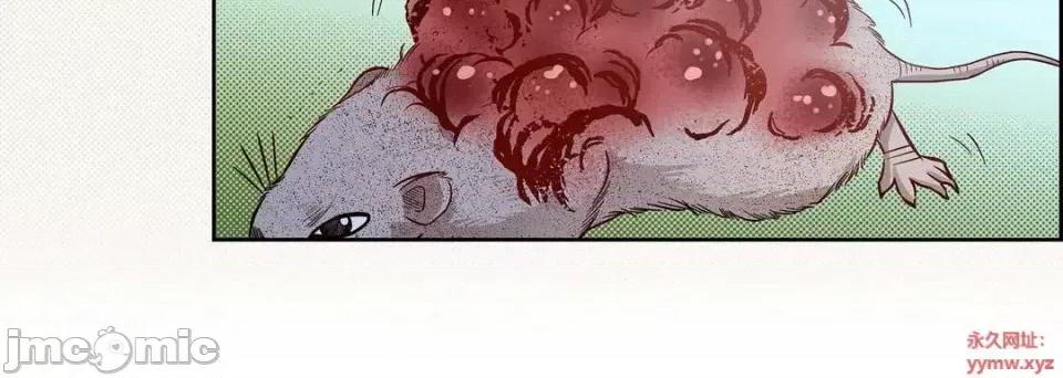 献给心脏 献给心脏-第 45 话 第40页