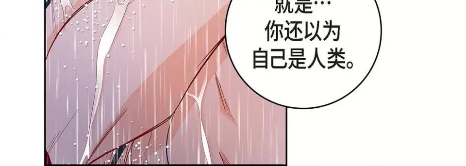 献给心脏 献给心脏-第 98 话 第144页