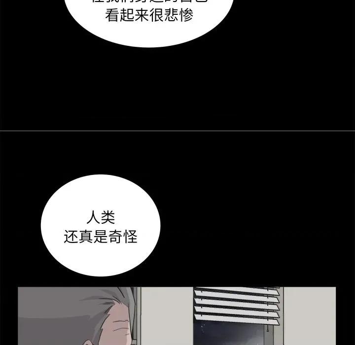 欢迎光临魔女商店 欢迎光临魔女商店-欢迎光临魔女商店 第28话 第9页