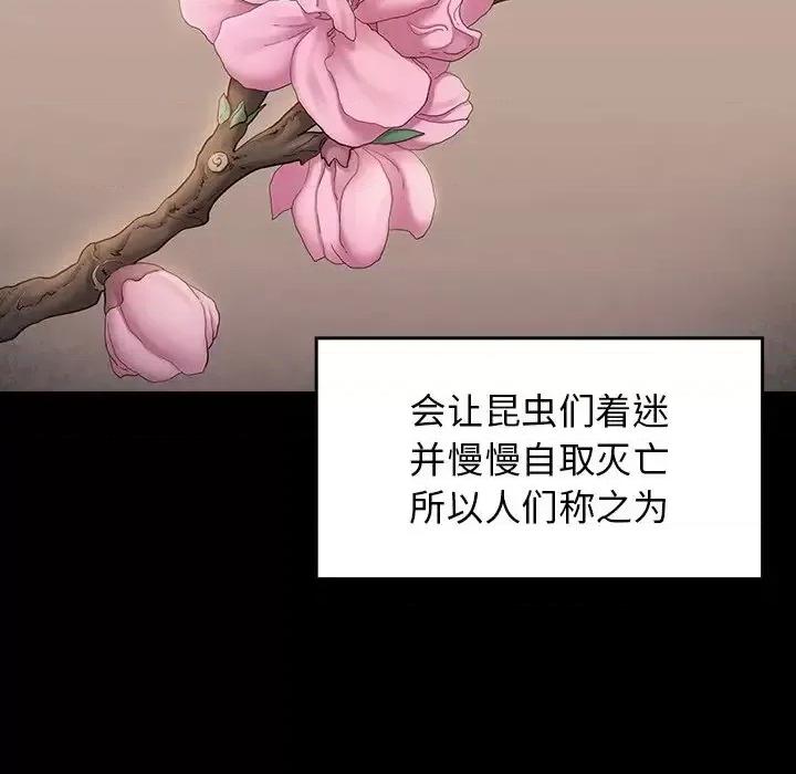 桃花 桃花-第 63 话 第9页